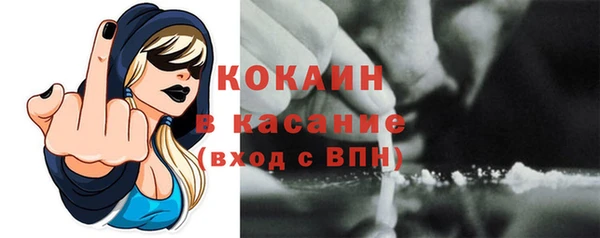 мескалин Новодвинск