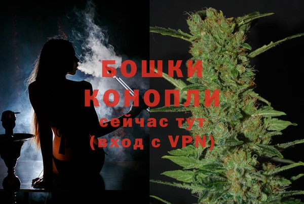 мескалин Новодвинск
