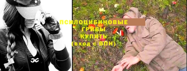 МДМА Новозыбков