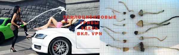 МДМА Новозыбков