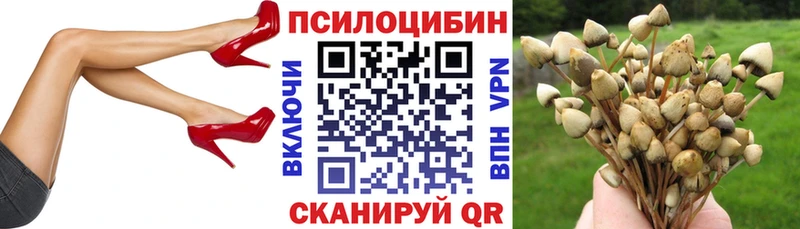 Псилоцибиновые грибы Psilocybine cubensis  Подольск 