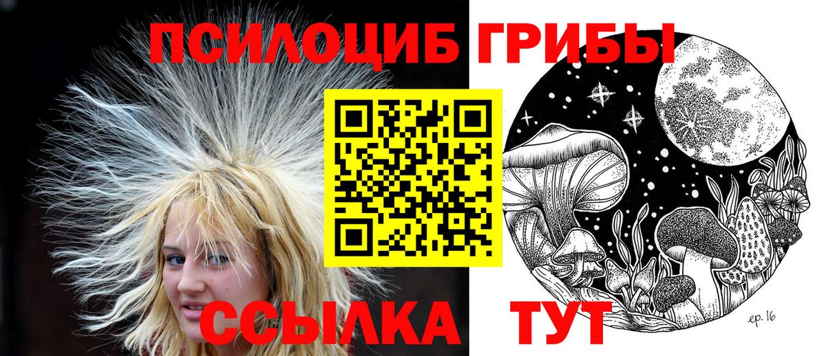 Галлюциногенные грибы GOLDEN TEACHER Подольск